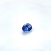 Natural  Blue Sapphire (2.54 Ct)